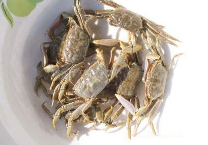 有专家吗求各种蟹的叫法