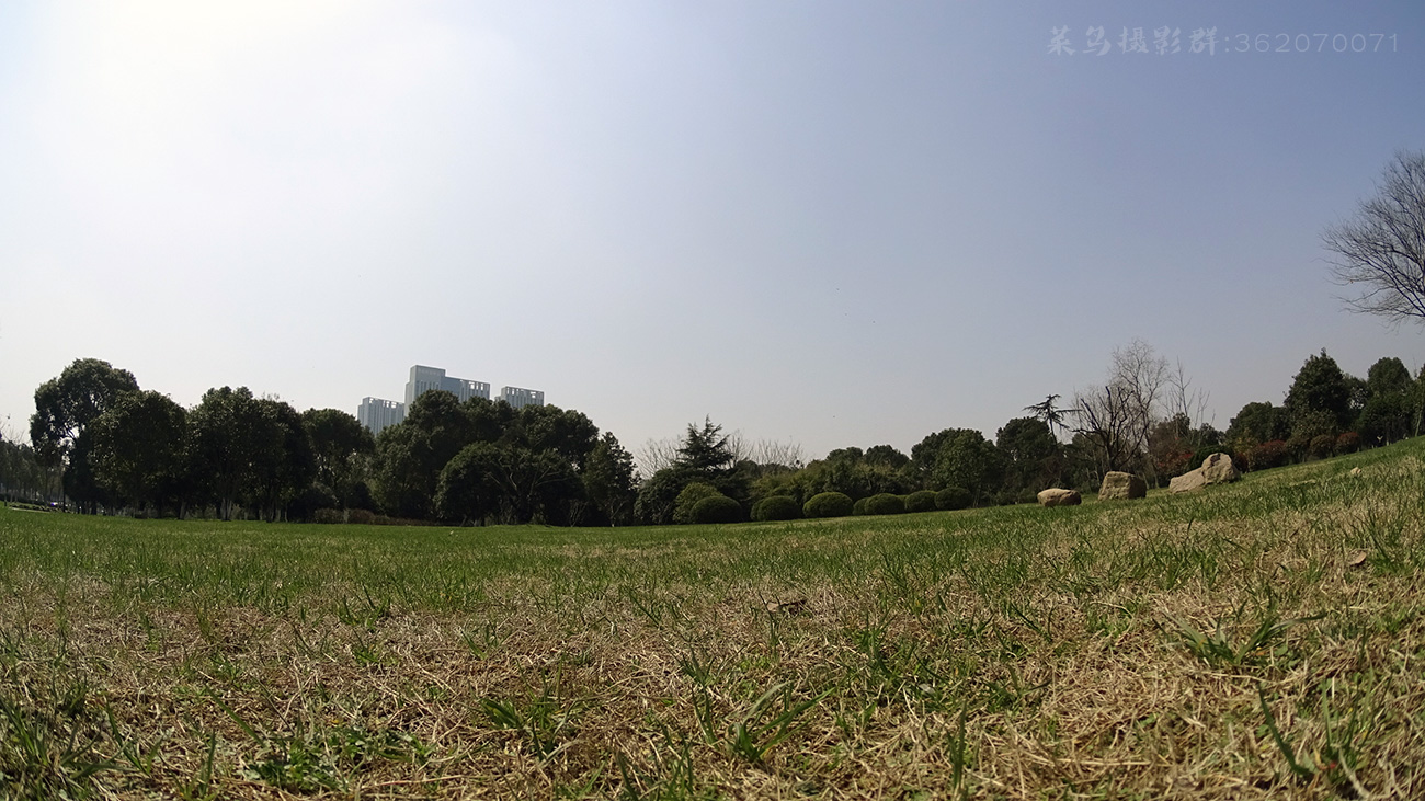 春回大地 万物复苏