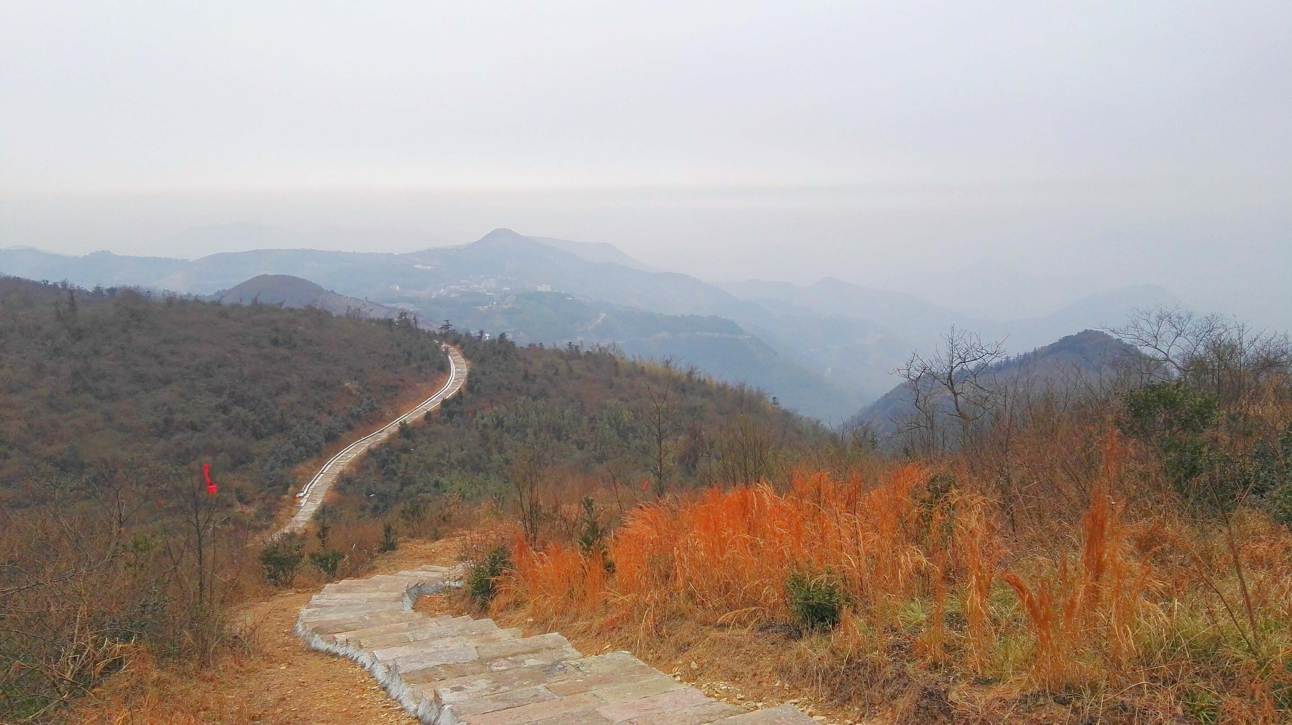 岗墩古道