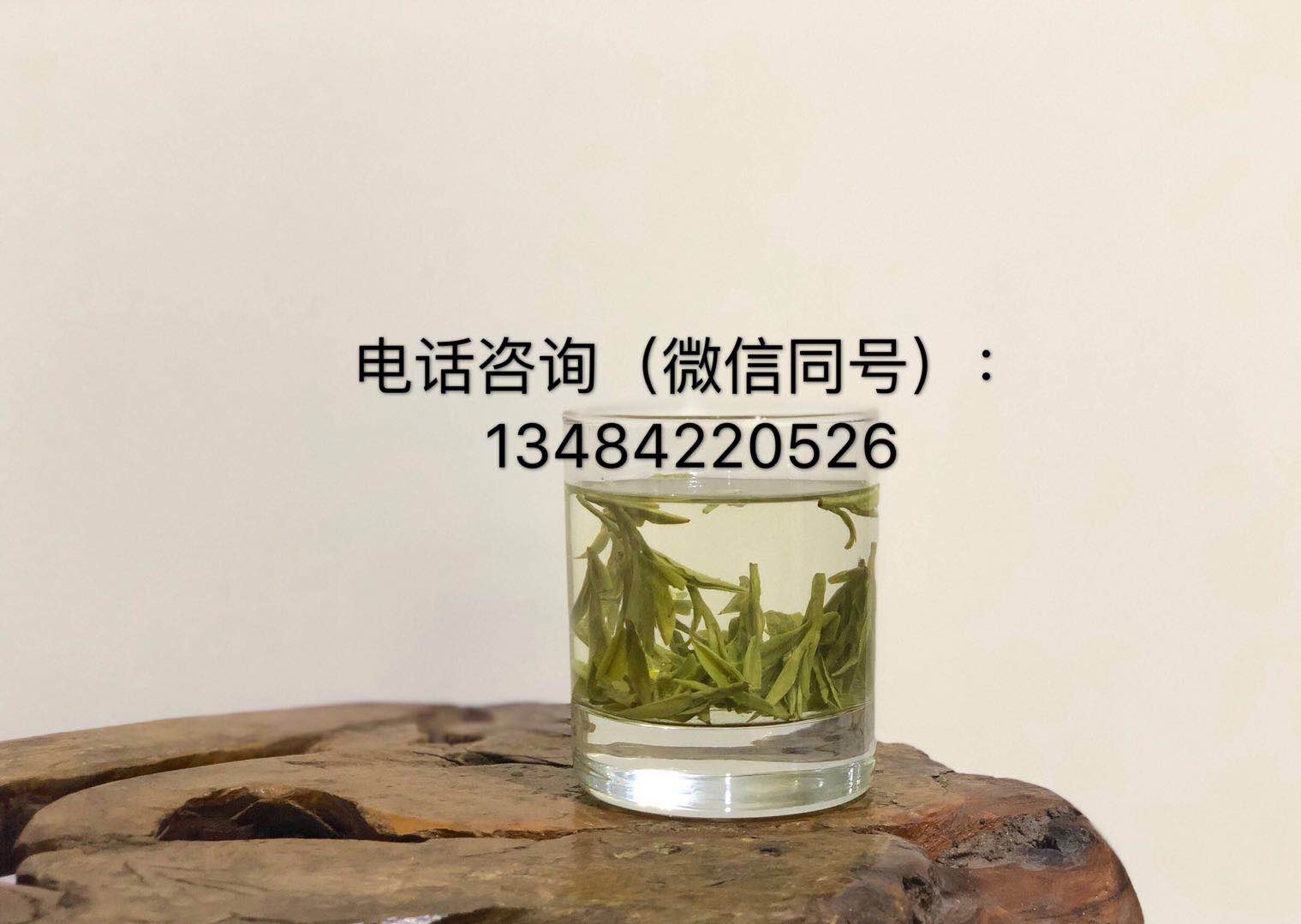 余姚大岚高山云雾茶开始抢购啦