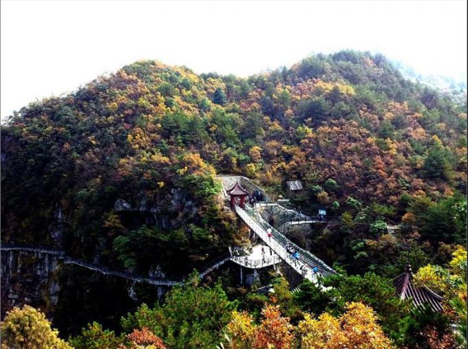 临安大明山红叶赏秋色
