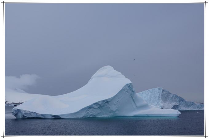 [【异域风采】]《鱼儿游南极》----2015年2月南极游记