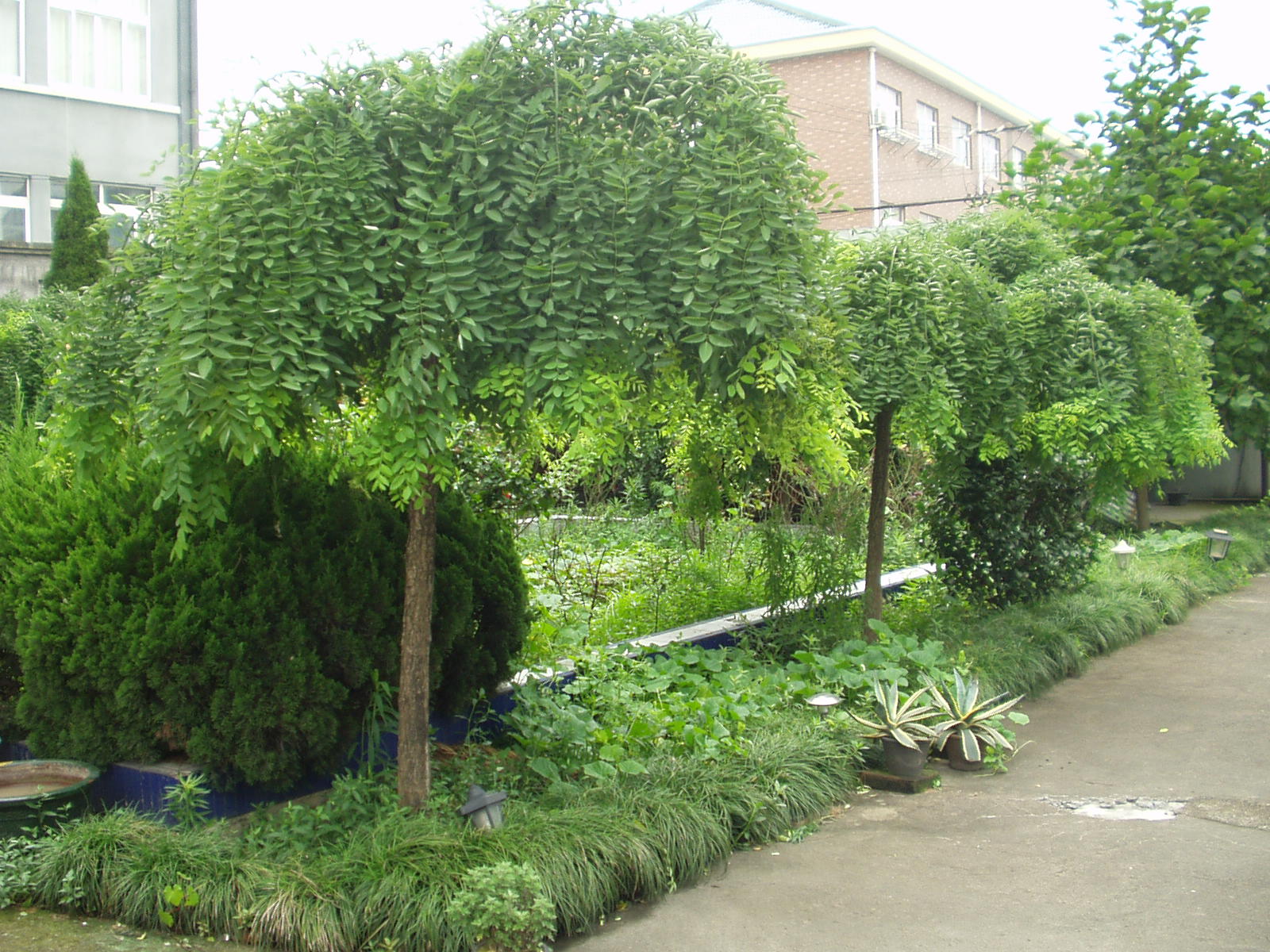 秀秀我家的宝贝