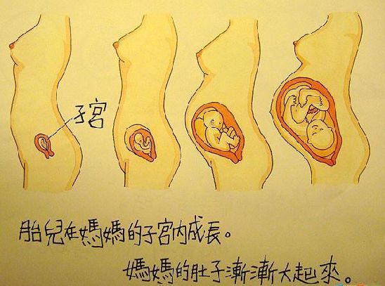 香港幼儿园性教育图书,你能接受吗?