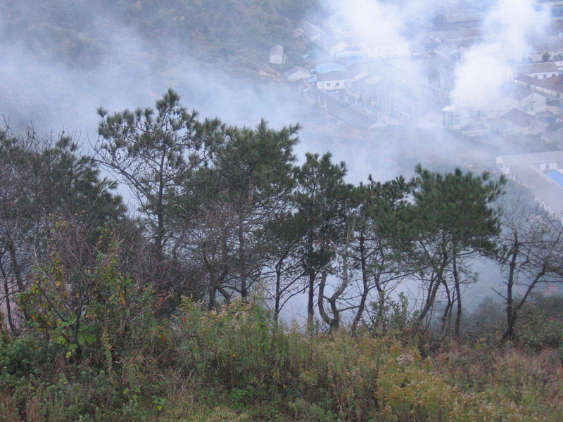 观海卫卫山公园图片