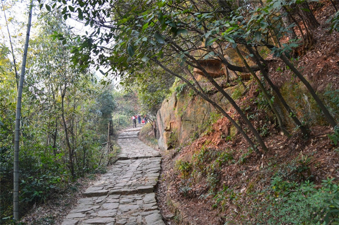 【驴途户外】余杭径山古道—径山寺—九龙潭穿越 11月29日