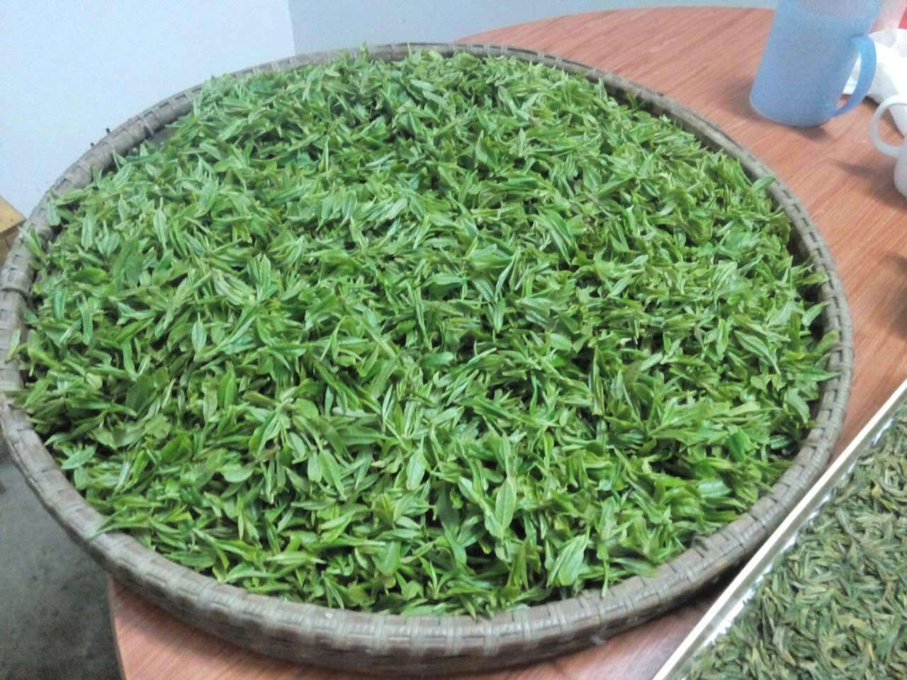 大岚自家的高山云雾茶上新了