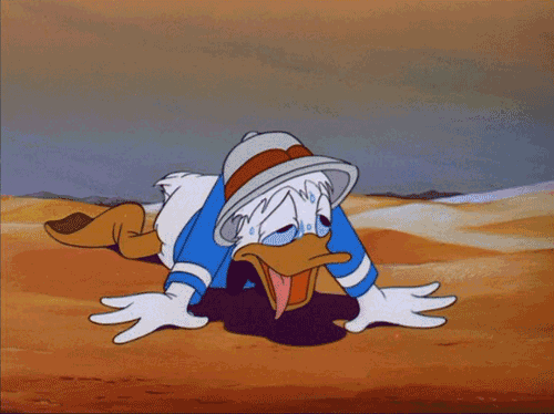500_374gif 动态图 动图