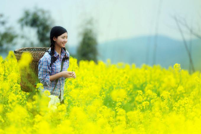 那首歌曲叫《小芳》